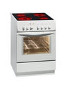 White electric cooker