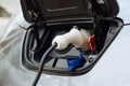 White electrical nozzle charging an electric car
