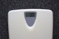 White electronic scales with number zero kg on grey carpet background.