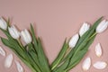 White elegant tulips lie on pink background. Space for text, top view postcard