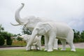 White elephant statue Royalty Free Stock Photo