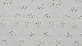 White embroidered cotton fabric with floral patterns and cutwork details embroidery Royalty Free Stock Photo
