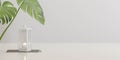 white empty blank background with plants and candle 3d render illustration Royalty Free Stock Photo