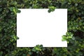 White empty paper card on green leaves background. Royalty Free Stock Photo