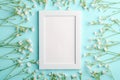 White empty photo frame mockup with mouse-ear chickweed flowers on blue background Royalty Free Stock Photo