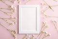 White empty photo frame mockup with mouse-ear chickweed flowers on pink background Royalty Free Stock Photo