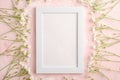 White empty photo frame mockup with mouse-ear chickweed flowers on pink textured background Royalty Free Stock Photo