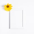 White empty picture frame mock up with yellow flower on white background Royalty Free Stock Photo