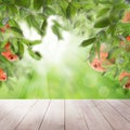 White empty wooden table on summer soft background