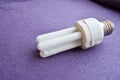 White energy-saving fluorescent light bulb with four tubes, with a silver cap