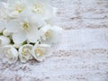 White English dogwood flowers bouquet Royalty Free Stock Photo