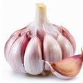 White enhances the raw beauty of isolated garlic, making a striking display.