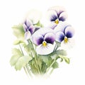 White Estella Pansy Watercolor Painting For Product Photography