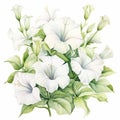 White Estella Watercolor Bouquet Illustration Royalty Free Stock Photo