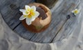 White exotic flower on coconut