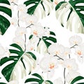 White exotic monstera leaves and orchid flowers seamless pattern.