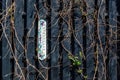 White exterior thermometer, with painted birds and butterflies on a dark wooden fence, with climbing scandent plant vines around Royalty Free Stock Photo