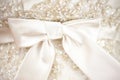 White fabric bow on the background of the lace fabric of the bride`s dress.