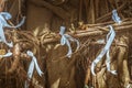 White fabric ribbons tied at the roots of sacred trees