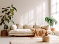 White fabric sofa with peach color blanket between green houseplant. Round knitted rug against of window. Scandinavian, nordic