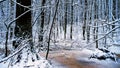 The White Fabulous Landscape of a Magical Forest with a Snow-covered Road in the Warm Rays of the Rising Sun.