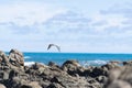 White-faced heron flies over rugged rocky coastline and view to horizon on east coast of Bay Of Plenty, New Zealand at Raukokore Royalty Free Stock Photo