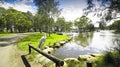 White Faced Heron sitting on a rail near water Royalty Free Stock Photo