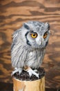 White faced owl on wood log