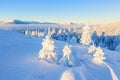 White fair tree on fairytale winter day