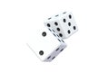 White falling dice isolated on white background