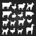 White farm animals silhouetes icons on black background