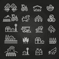 White farm icons and concepts on blackboard Royalty Free Stock Photo