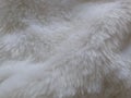 White faux fur. Close-up. Partially defocused photo. Fluffy villi