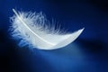 White feather Royalty Free Stock Photo