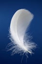 White feather