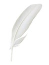 White feather Royalty Free Stock Photo