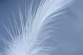 White feather Royalty Free Stock Photo