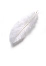 White feather Royalty Free Stock Photo