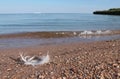 White feather beach