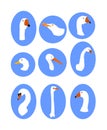White feather bird collection vector isolated. Goose head, seagull symbol, swan portrait, stork, duck, ostrich sign, gull.