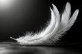 A white feather on a black and white checkered floor Royalty Free Stock Photo