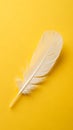 White Feather on Bright Yellow Background for Writing and Decor Royalty Free Stock Photo