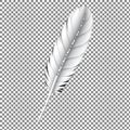White Feather on Checkered Background Royalty Free Stock Photo
