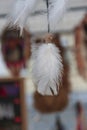 White feather in a dream catcher hanging from the ceiling