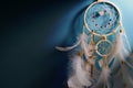 White feather dream catcher