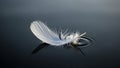 White Feather Floating on Dark Water Royalty Free Stock Photo
