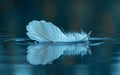 White feather floating on the water surface Royalty Free Stock Photo