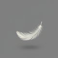 A white feather floats against a gray background, casting a soft shadow. The feather Royalty Free Stock Photo