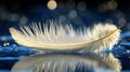 White feather floats on dark blue water reflecting light Royalty Free Stock Photo