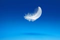 a white feather floats over a blue background Royalty Free Stock Photo